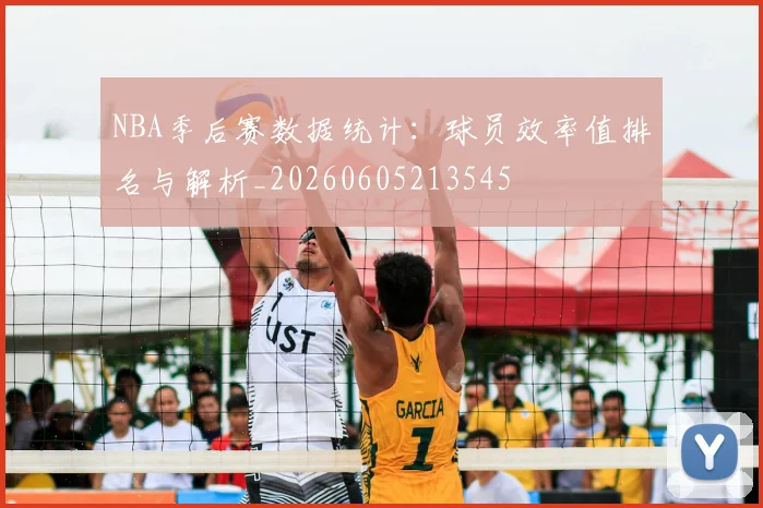 NBA季后赛数据统计：球员效率值排名与解析_20260605213545